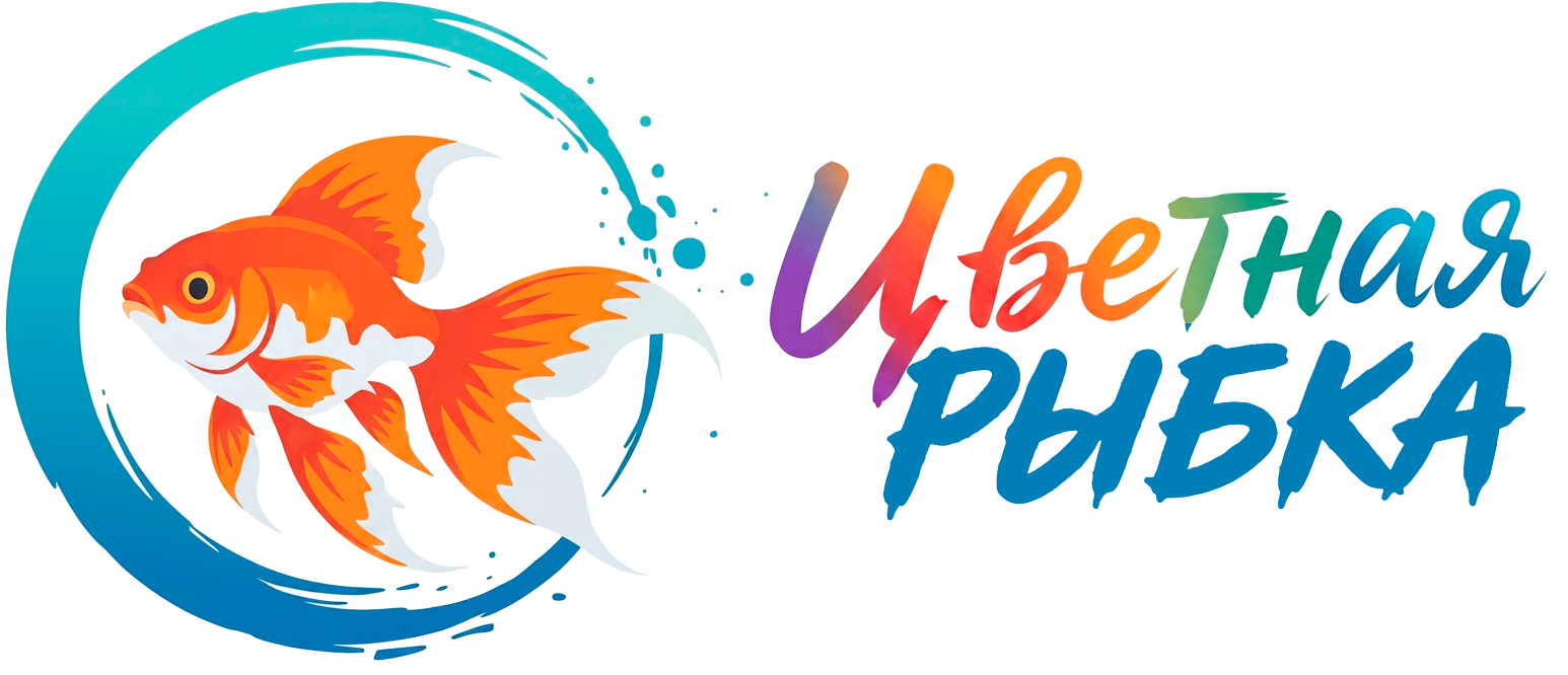 Сайт Сайт